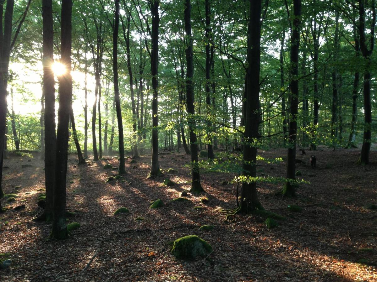 Oesterlen - Baestekille Backar Sankt Olof Buitenkant foto