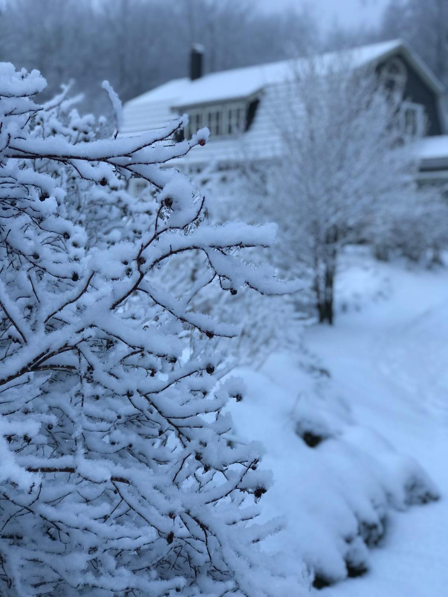 Oesterlen - Baestekille Backar Sankt Olof Buitenkant foto